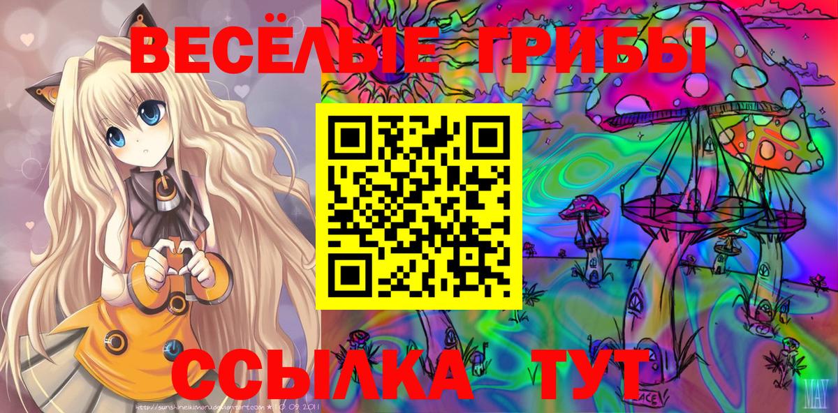 Кострома  Галлюциногенные грибы Psilocybine cubensis  Вход с VPN 