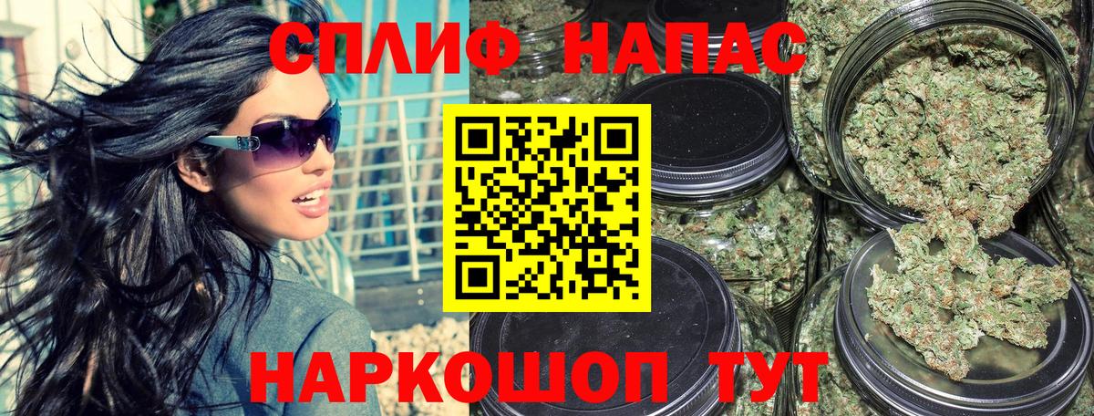 Бошки Шишки MAZAR Кострома